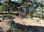 La Jarosa 16.JPG
