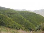 DSCN1958.jpg