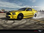 Mustang_1024x768.jpg