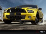 Mustang2_1024x768.jpg