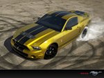 Mustang3_1024x768.jpg