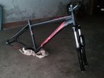 IMG_20111105_141610.jpg