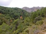 Copia de CIMG0710.JPG
