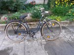 original-miele-damenrad-foto-bild-52792777.jpg