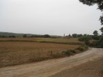 DSC01953.JPG