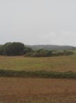DSC01954.JPG