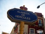 VELOTESSEN-00000188-ALAMEDA.jpg