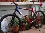 DSC02529r.jpg