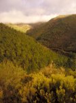 IMG_20111105_0958126.jpg