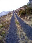 IMG_20111105_1040484.jpg