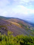 IMG_20111105_1106516.jpg