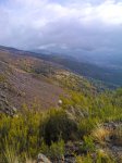 IMG_20111105_1107135.jpg