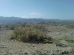 P051111_17.08_[01].jpg