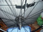 DSCF1251.JPG