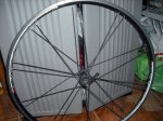 DSCF1249.JPG