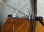 IMG00324-20111106-1252.jpg