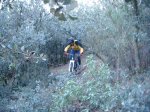 DSCF2016.jpg