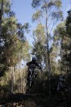 _MG_9784.JPG