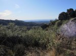 IMG_0254.JPG