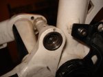 DSC08036_1.JPG