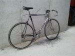 contini.jpg
