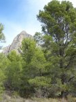 DSC01778.JPG