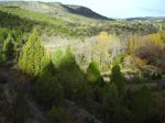 IMG_0004.JPG