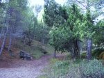 IMG_0009.JPG