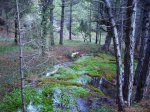 IMG_0017.JPG