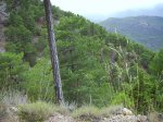 IMG_0059.JPG