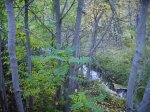 IMG_0068.JPG