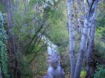 IMG_0069.JPG