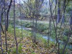 IMG_0076.JPG