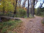 IMG_0081.JPG
