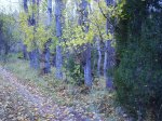 IMG_0112.JPG