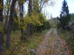 IMG_0113.JPG