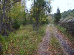 IMG_0115.JPG