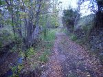 IMG_0122.JPG