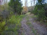 IMG_0128.JPG