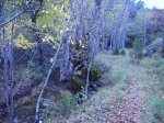 IMG_0141.JPG