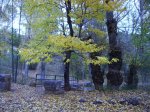 IMG_0165.JPG