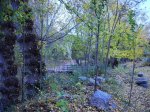 IMG_0167.JPG