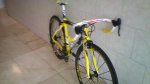 pinarello web.JPG