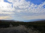 IMG_2155.jpg