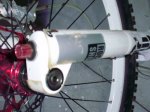 PB070063.JPG