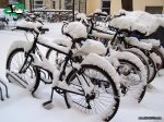 NEU.jpg