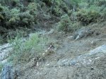 DSC02649 r.jpg
