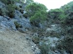 DSC02653 r.jpg