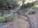 DSC02658 r.jpg