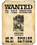 wantedposter.jpg